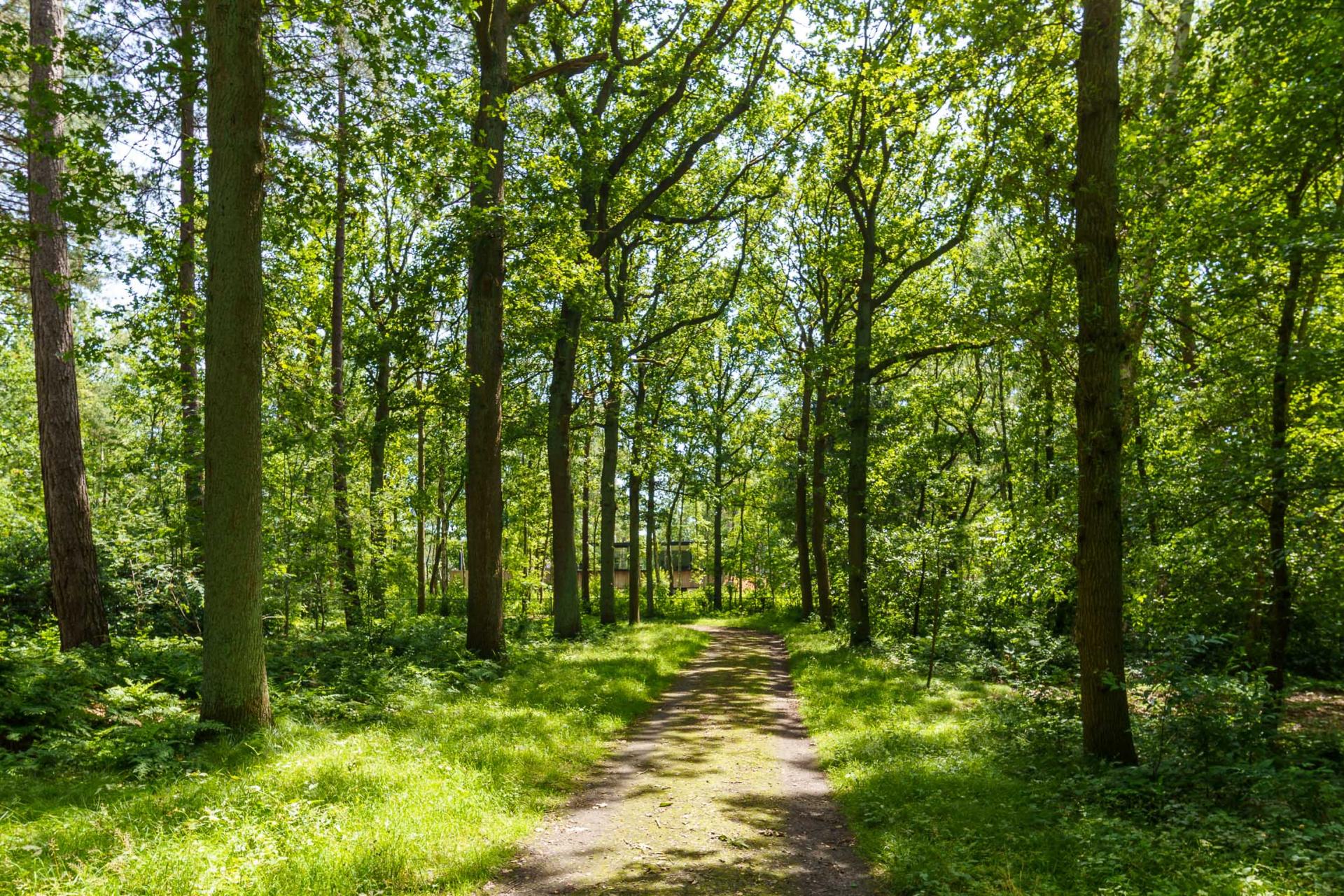 Unieke nieuwbouwvilla op toplocatie in De Zeurt — foto