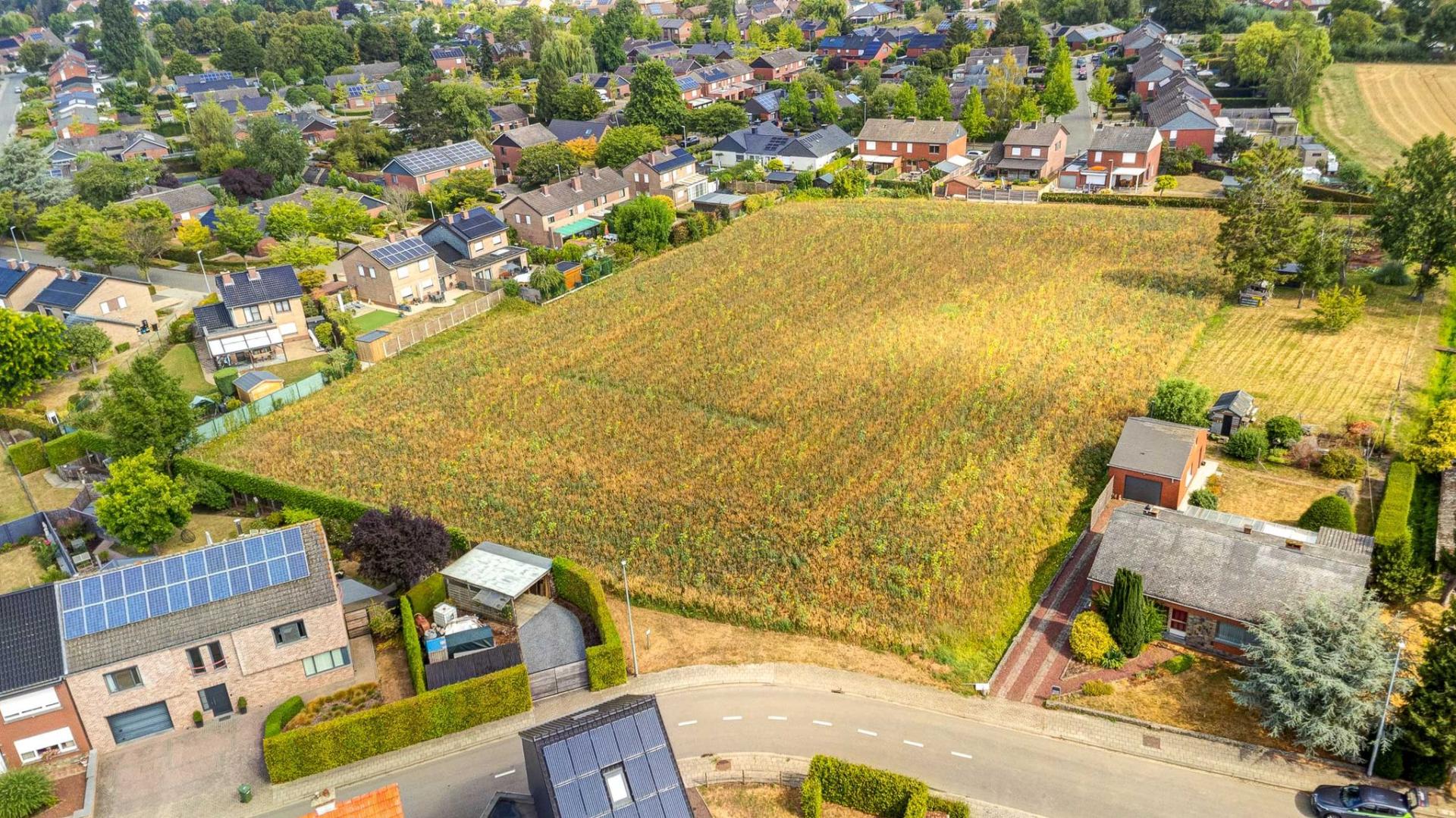 Rustig gelegen, grote bouwgrond te Wilsele — foto