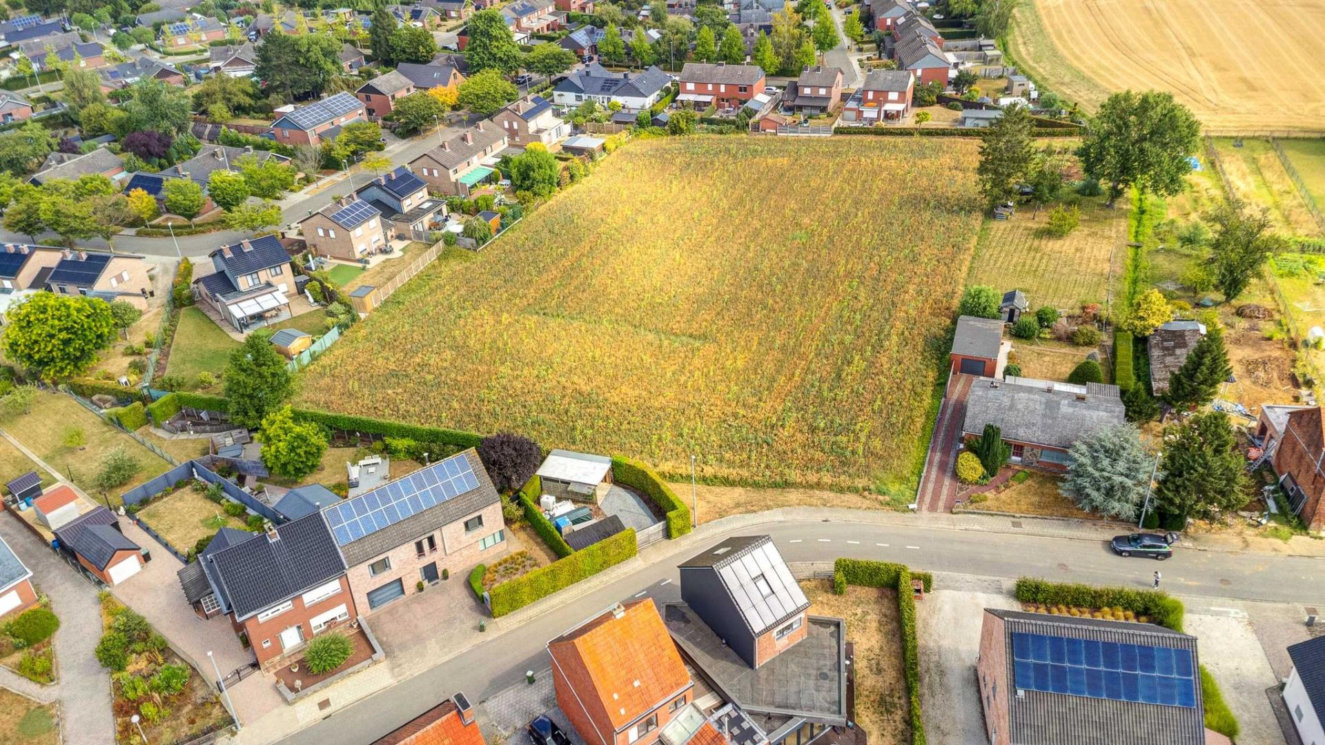 Rustig gelegen, grote bouwgrond te Wilsele — foto