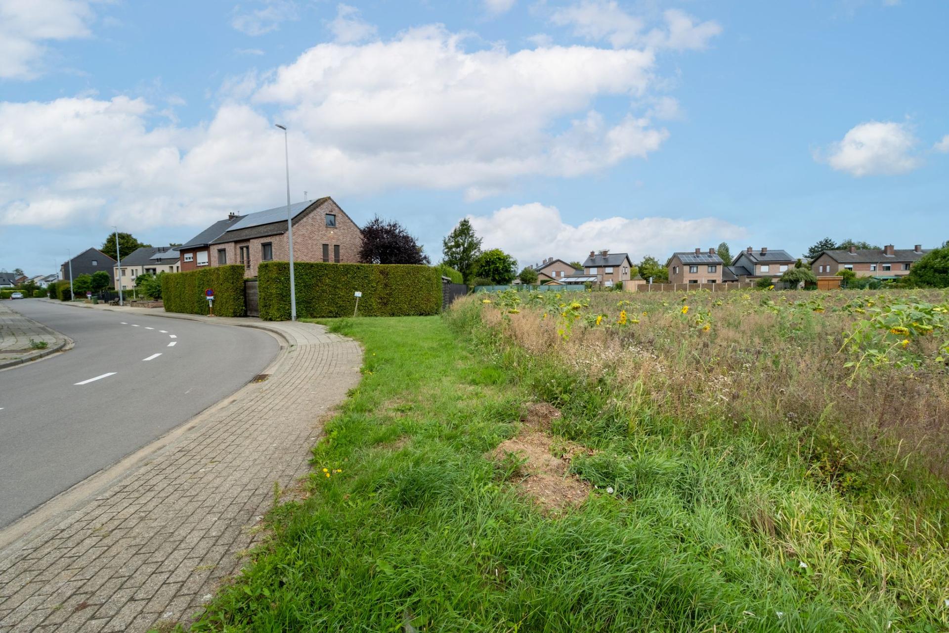 Rustig gelegen, grote bouwgrond te Wilsele — foto