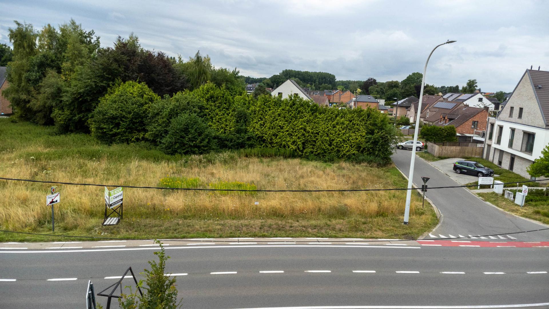 Open bebouwing (nieuwbouw) op 9a66ca te Begijnendijk — foto
