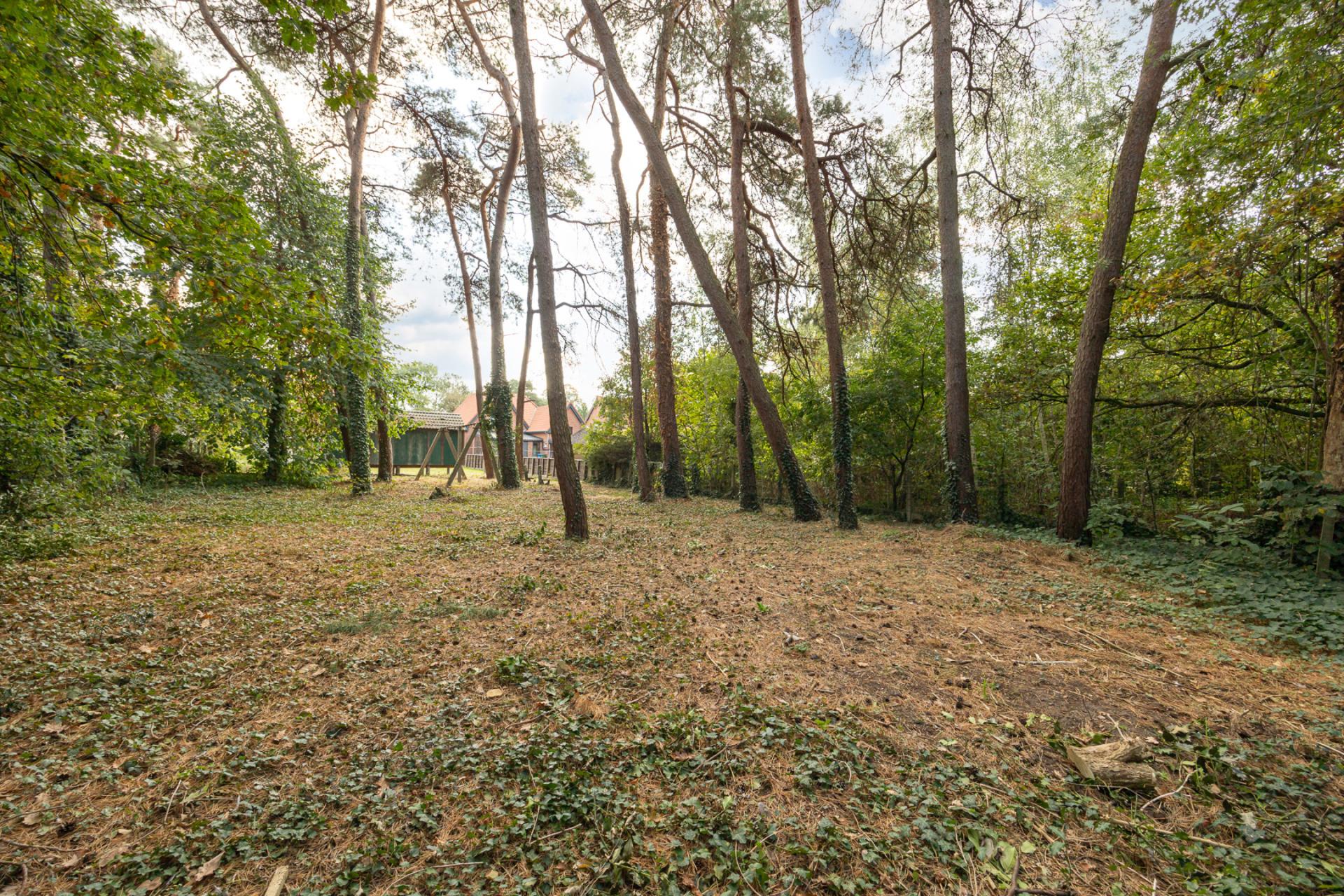 Te renoveren woning met veel potentieel — foto