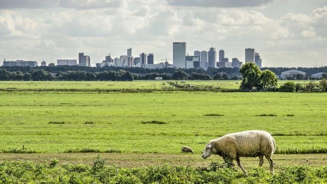 Een serviceflat kopen: wat zijn de mogelijkheden en waar moet je op letten?