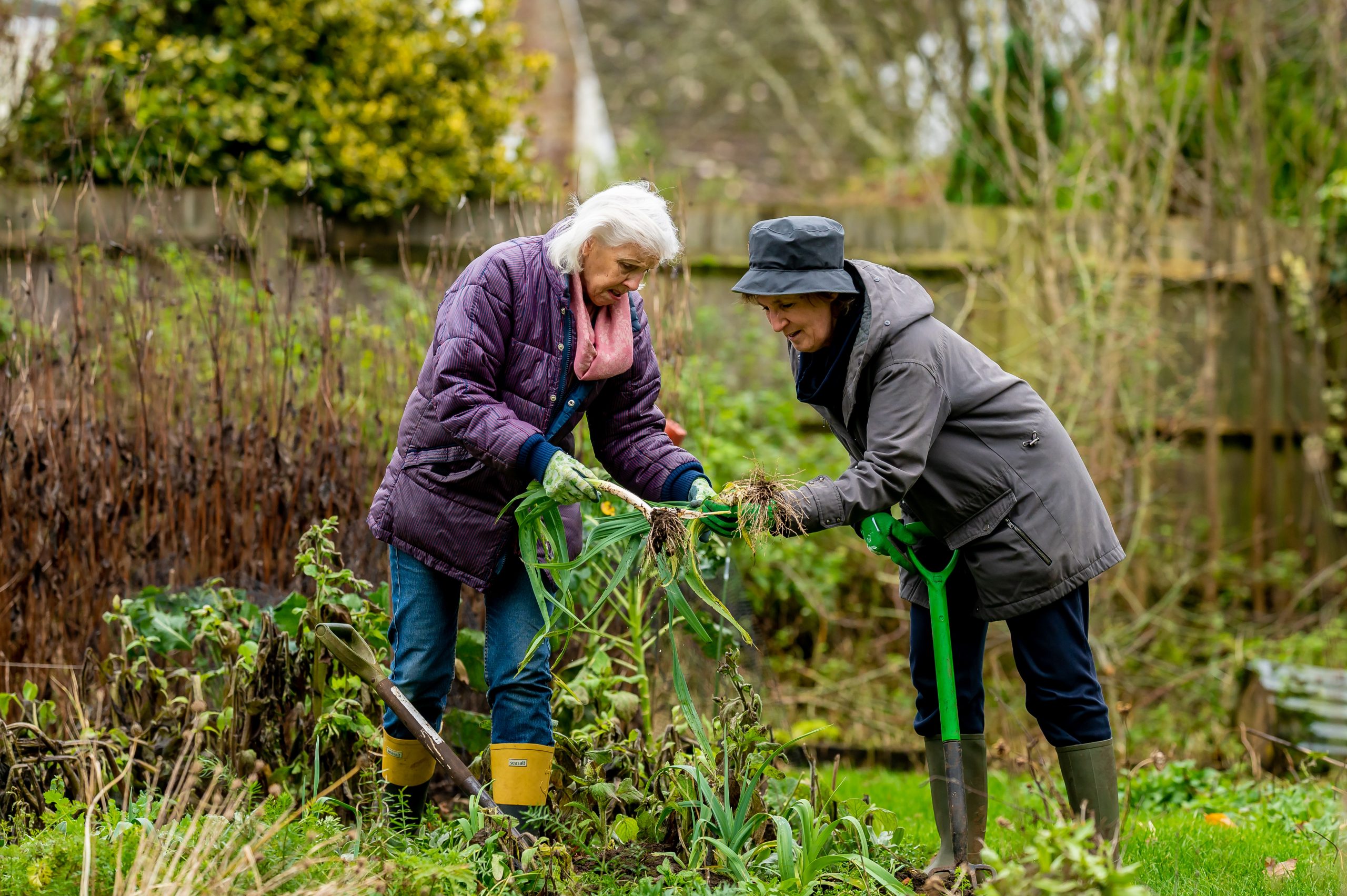 Tips om je tuin te onderhouden